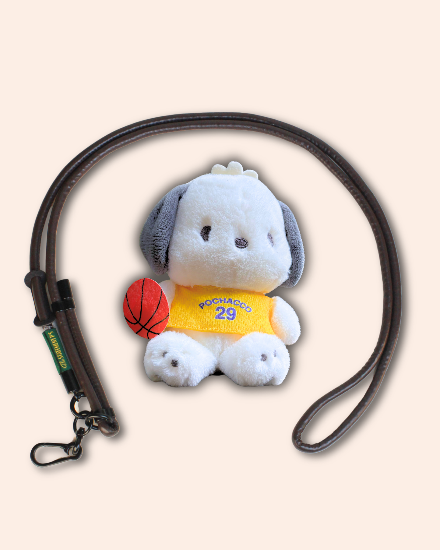 POCHACCO LAKERS
