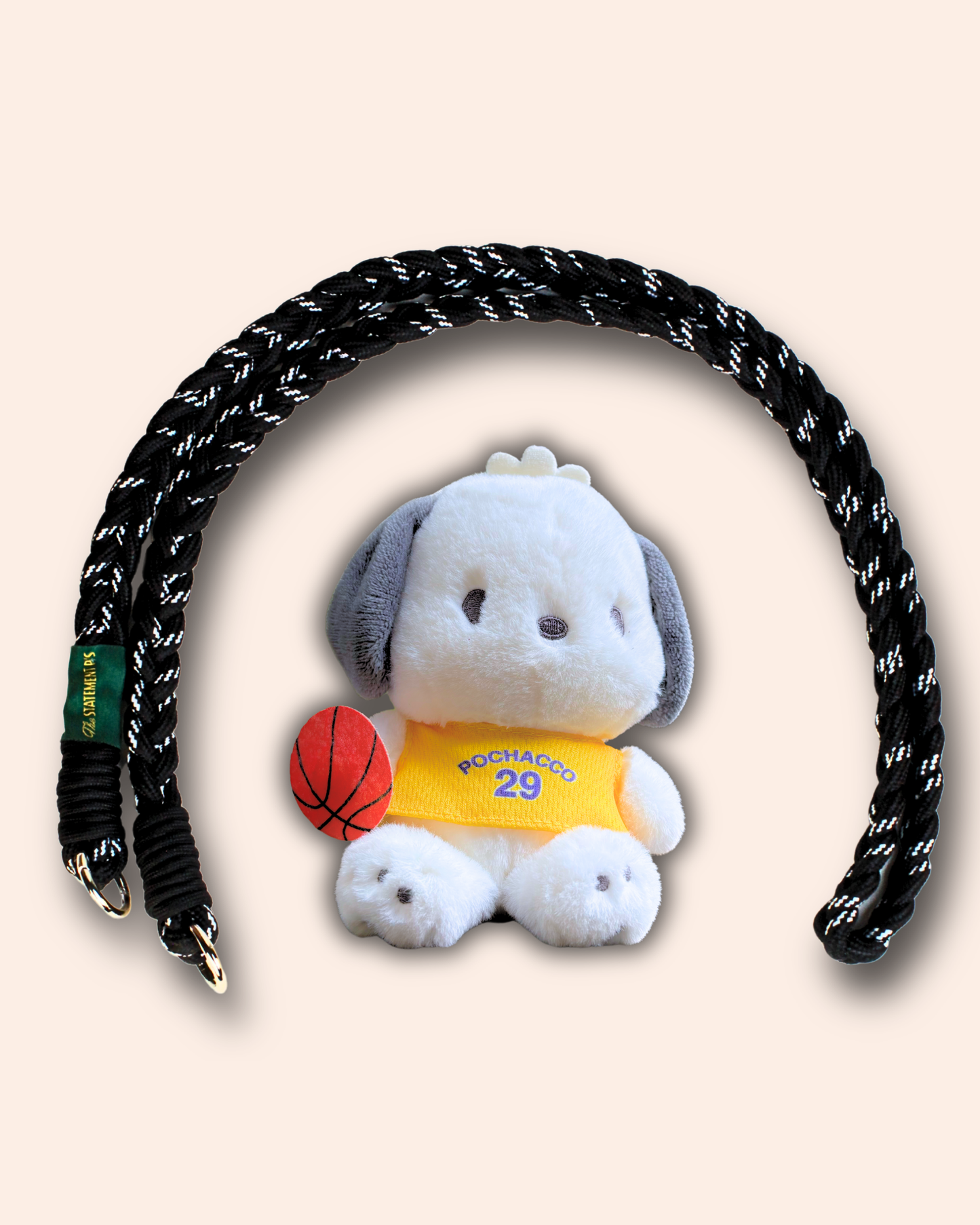 POCHACCO LAKERS
