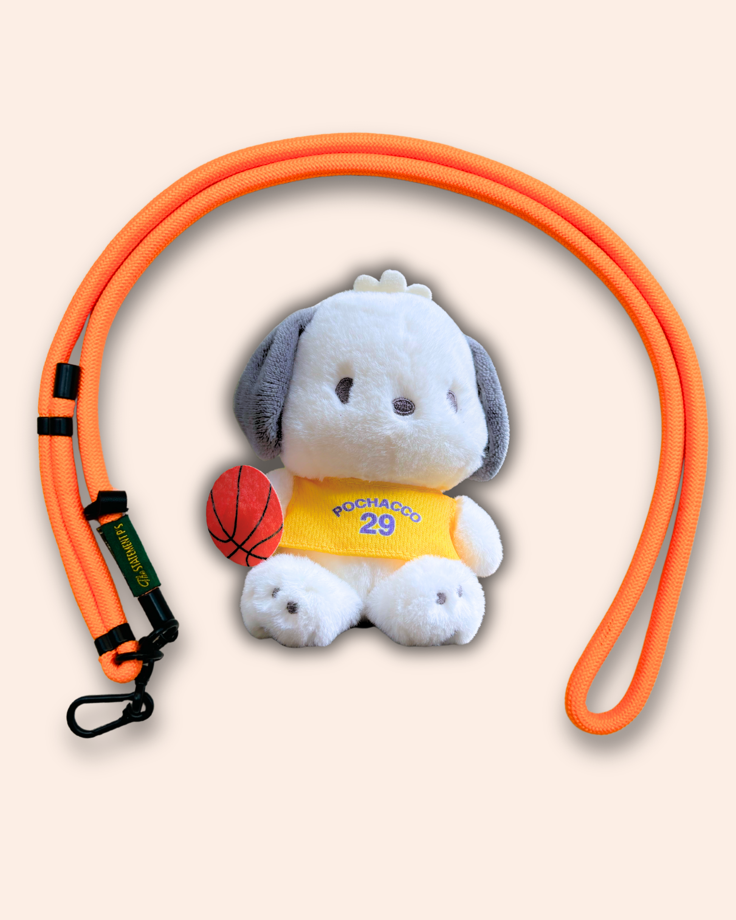 POCHACCO LAKERS
