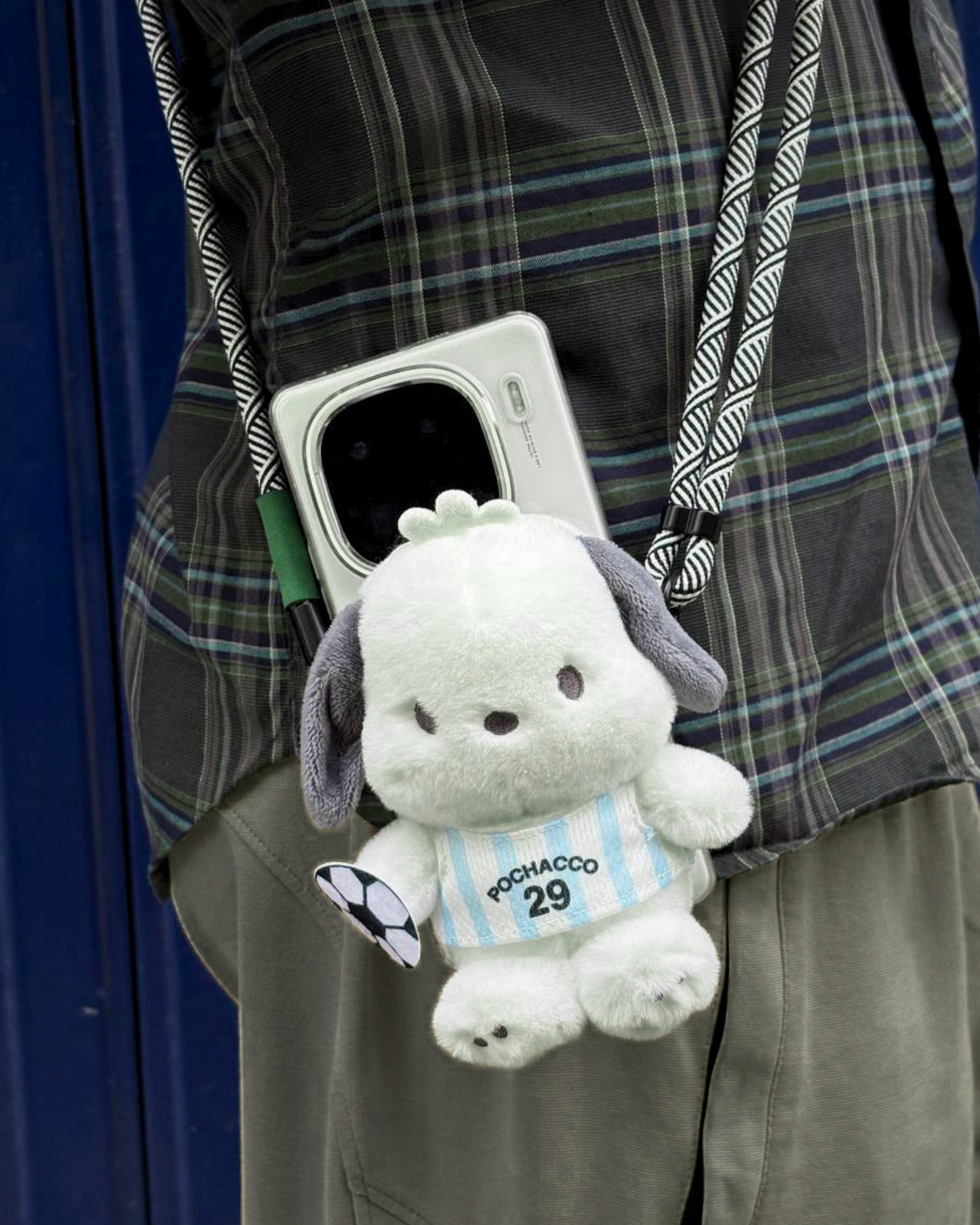 POCHACCO ARGENTINA