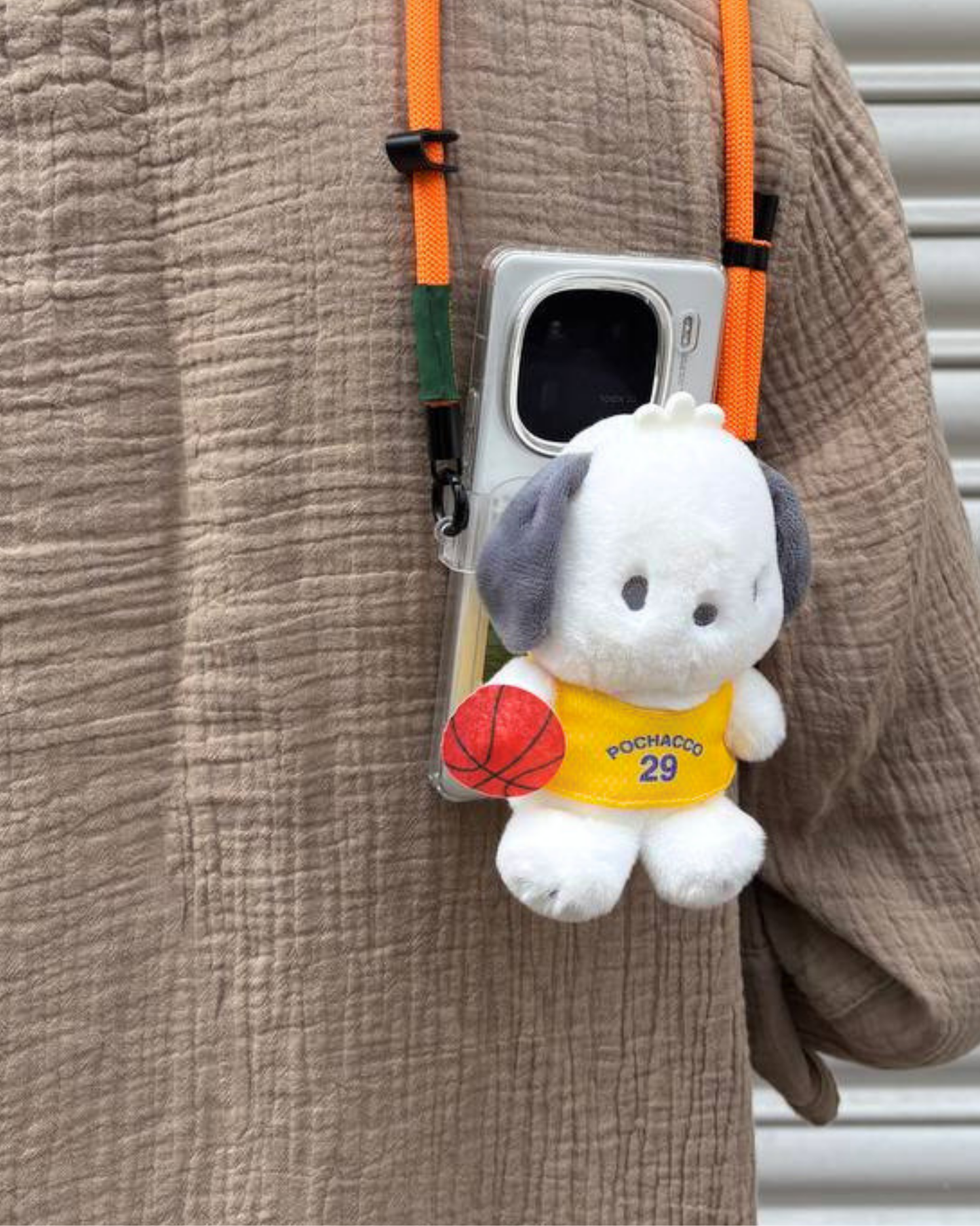 POCHACCO LAKERS