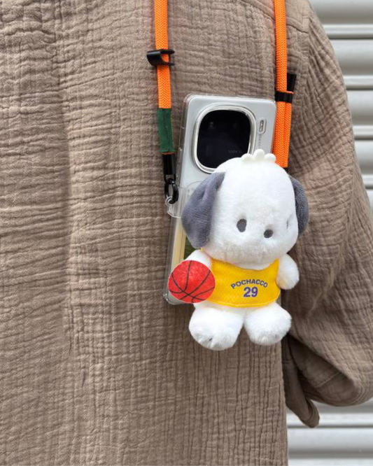 POCHACCO LAKERS