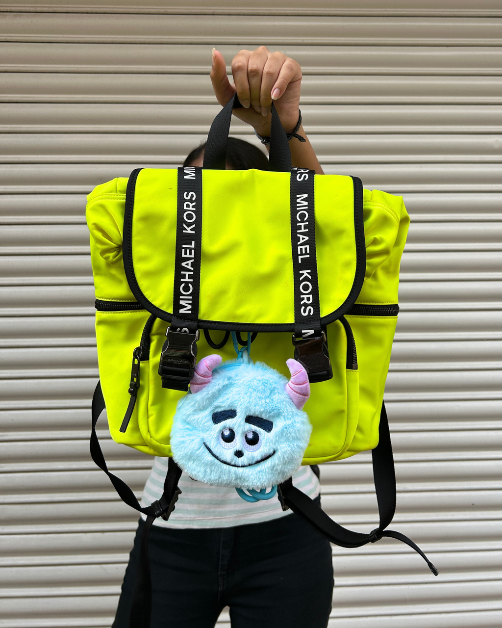 MONSTERS INC SULLY SMILE