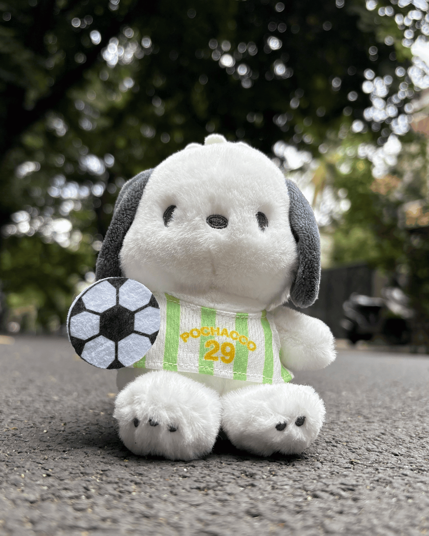 POCHACCO-GREEN - ADJUSTABLE BLACK LEATHER