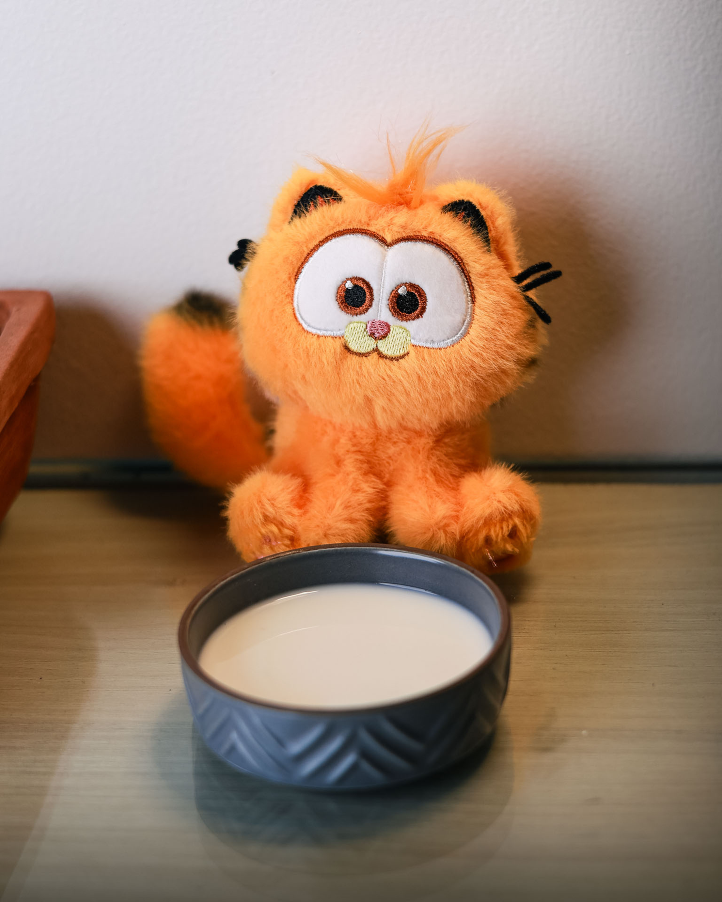 GARFIELD