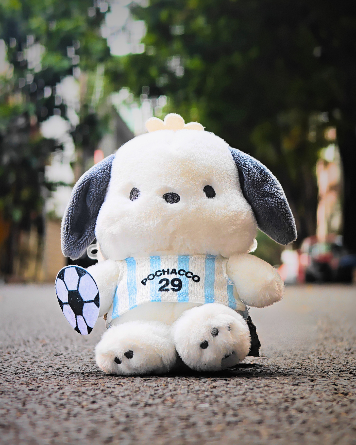 POCHACCO ARGENTINA
