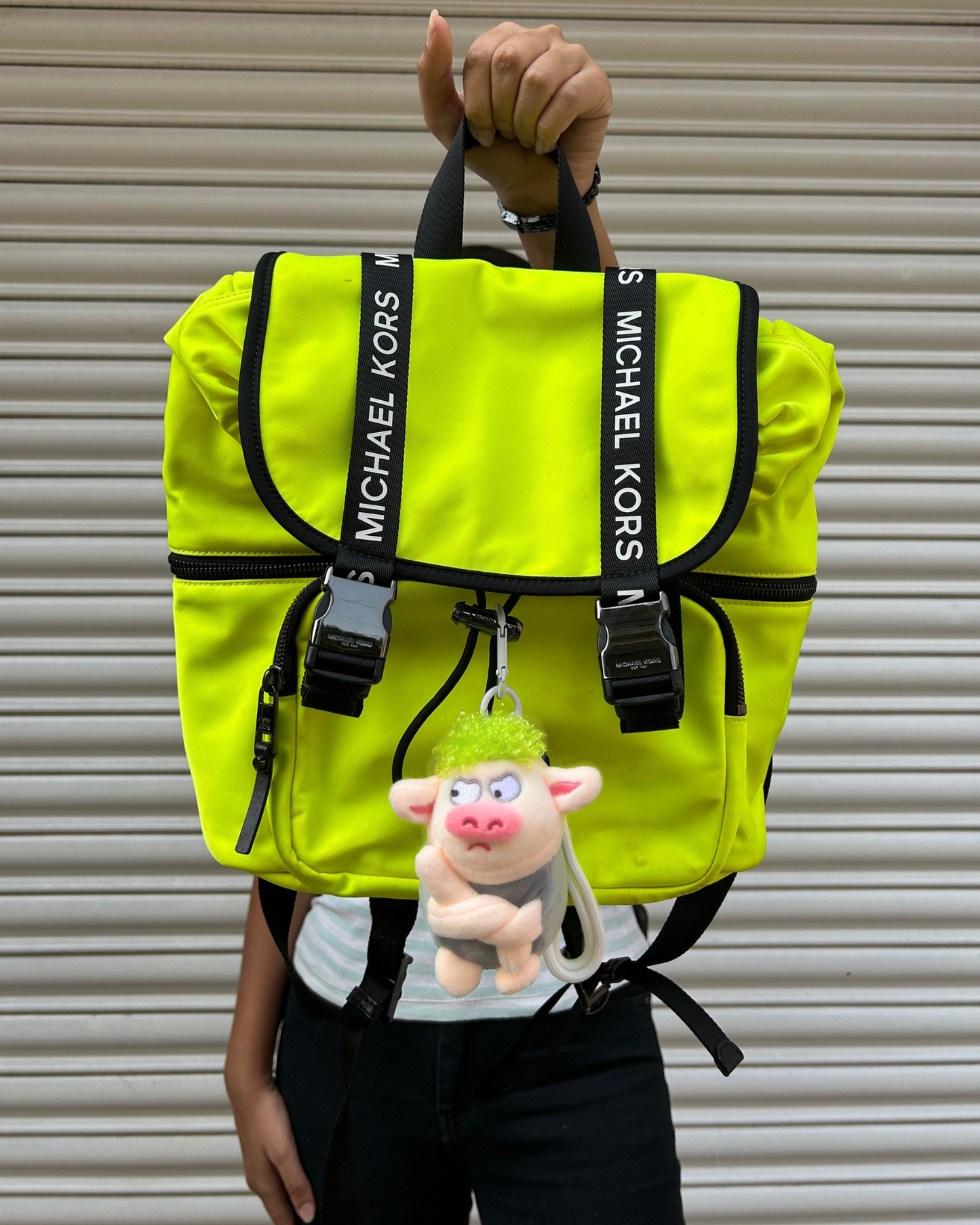 ANGRY PIG - GREY
