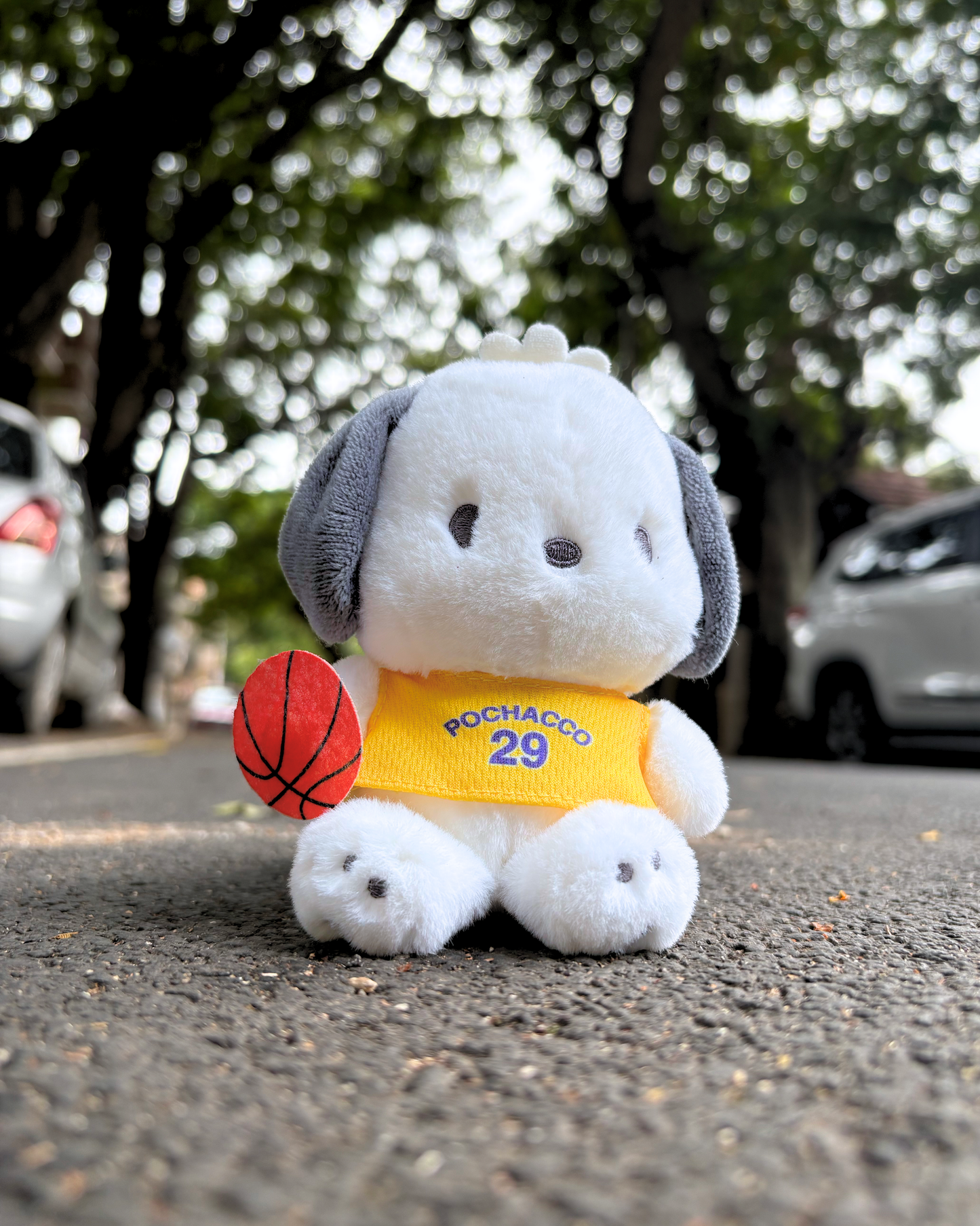 POCHACCO LAKERS
