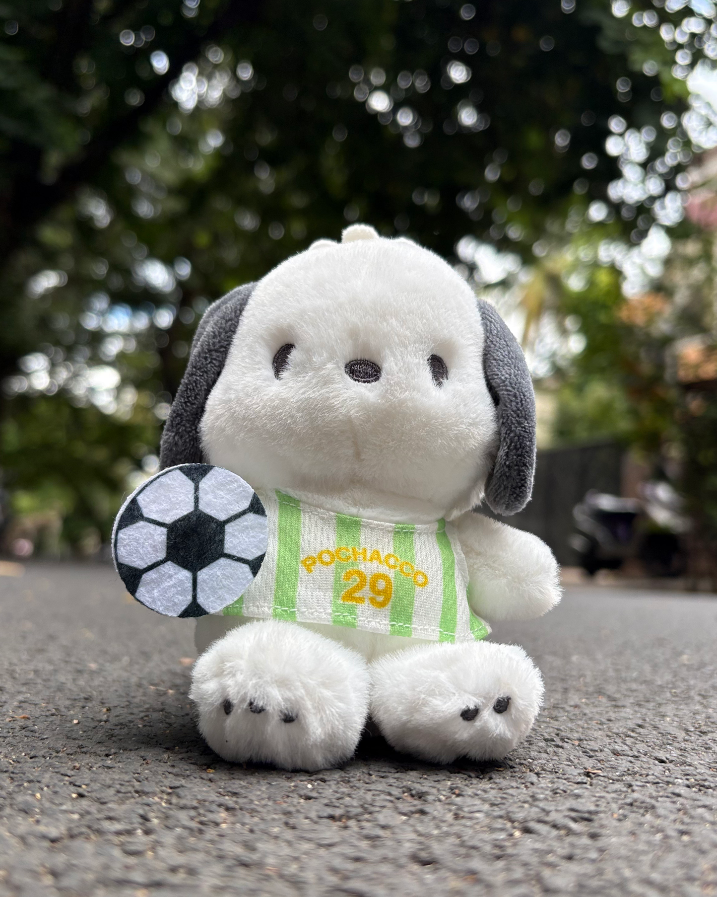 POCHACCO GREENBAY