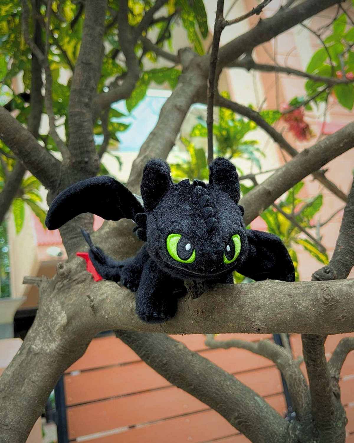 TOOTHLESS DRAGON - ADJUSTABLE BLACK LEATHER