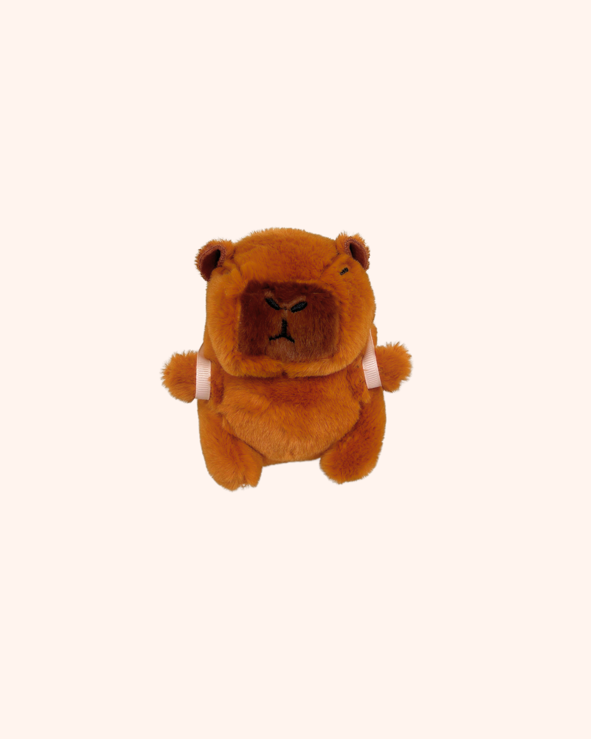 CAPYBARA