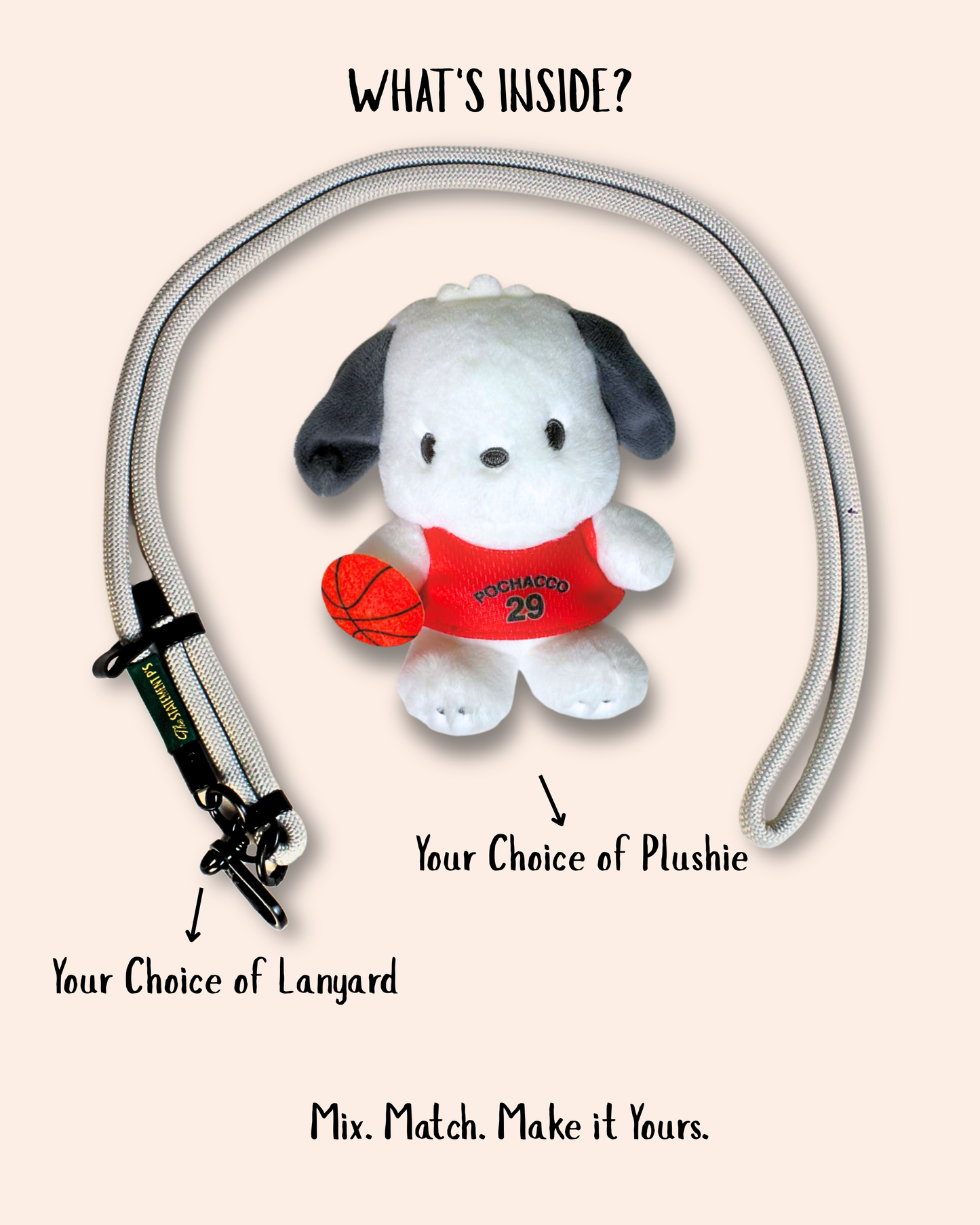 POCHACCO JETS