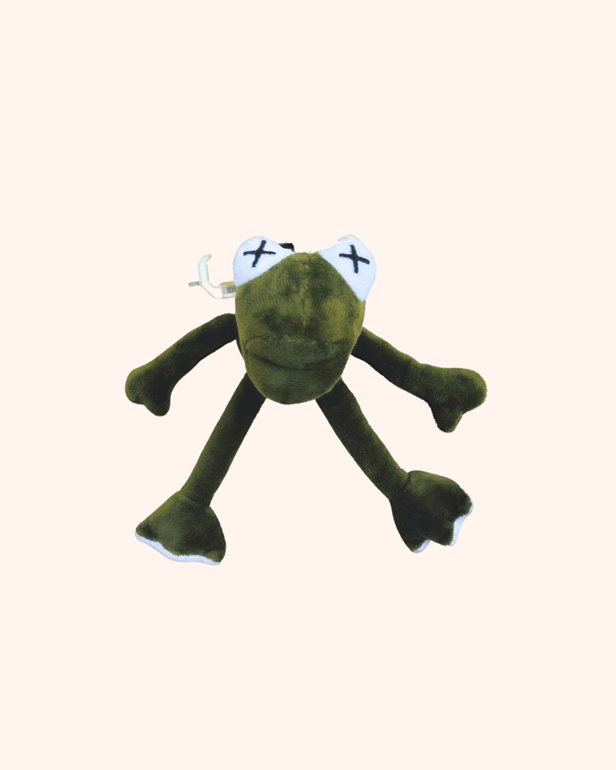 MR. FROGGY