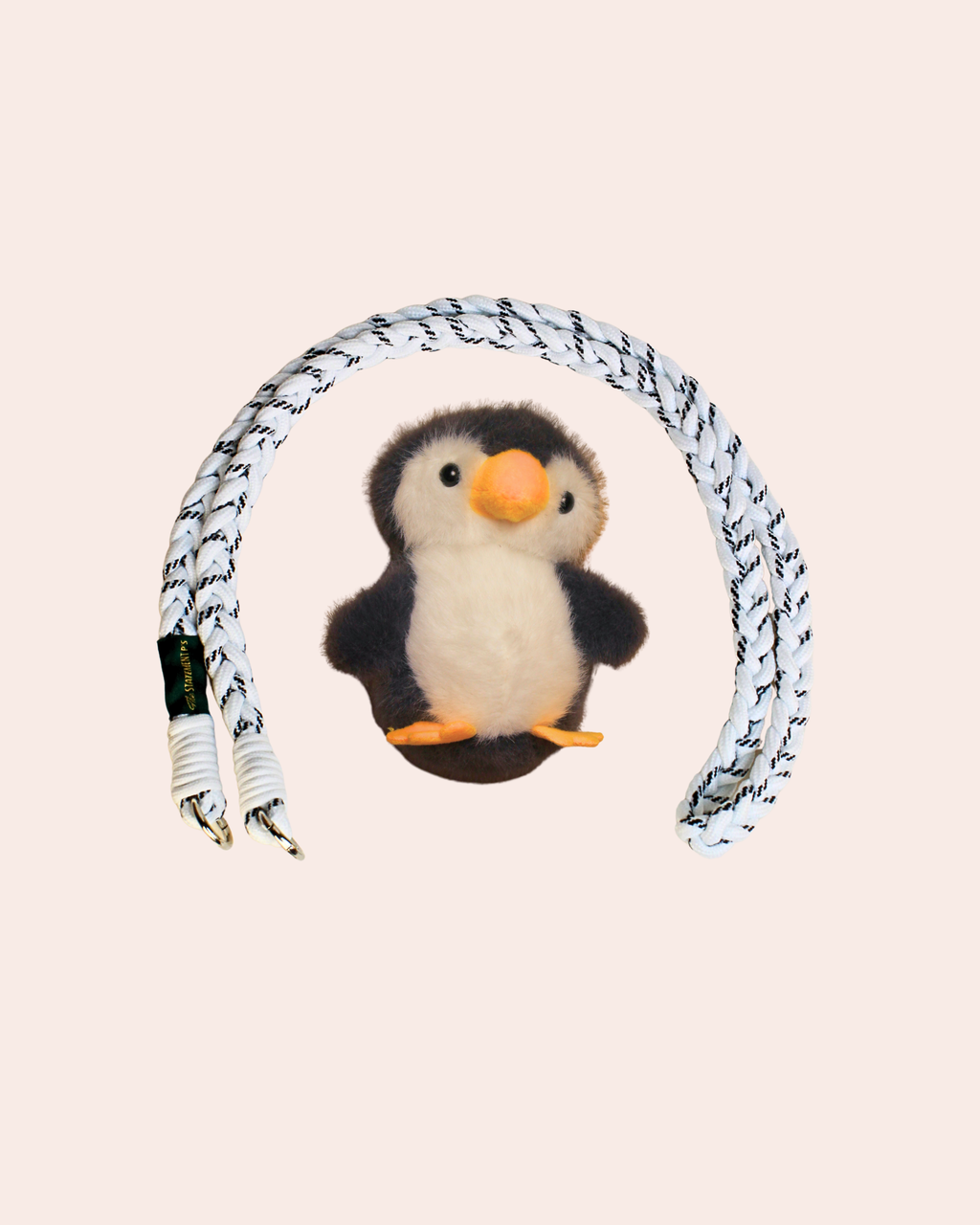 PINGU