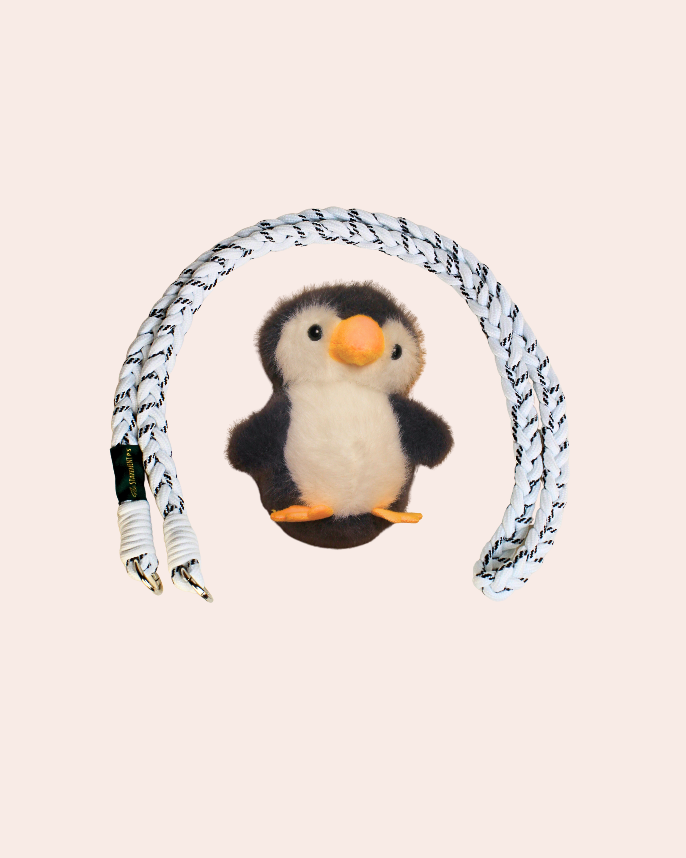 PINGU