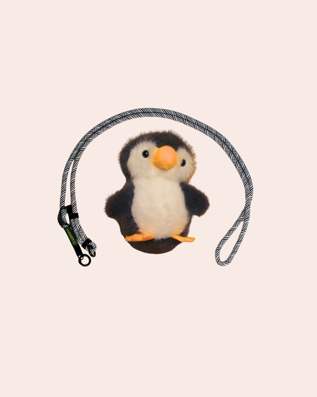PINGU