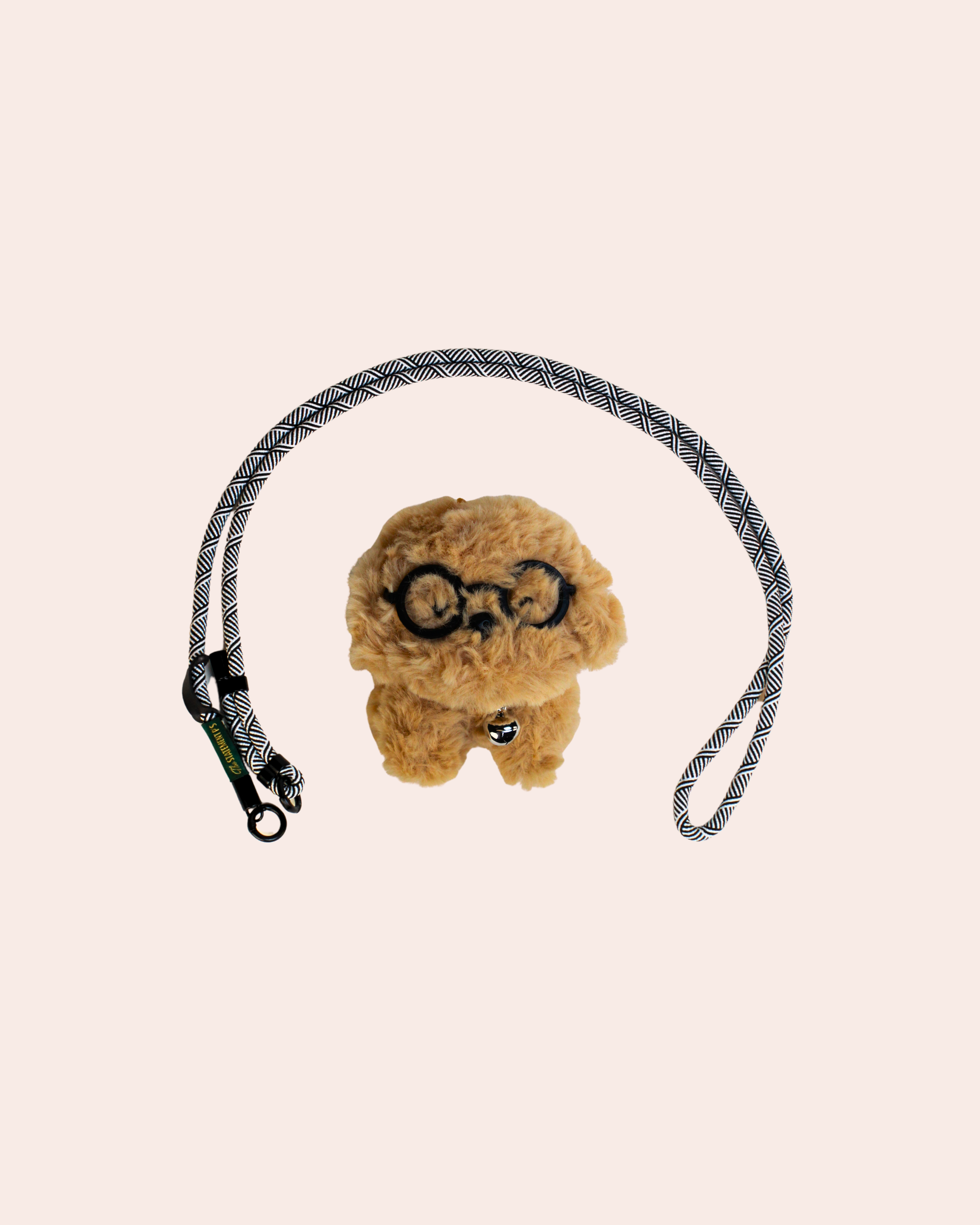 POODLE