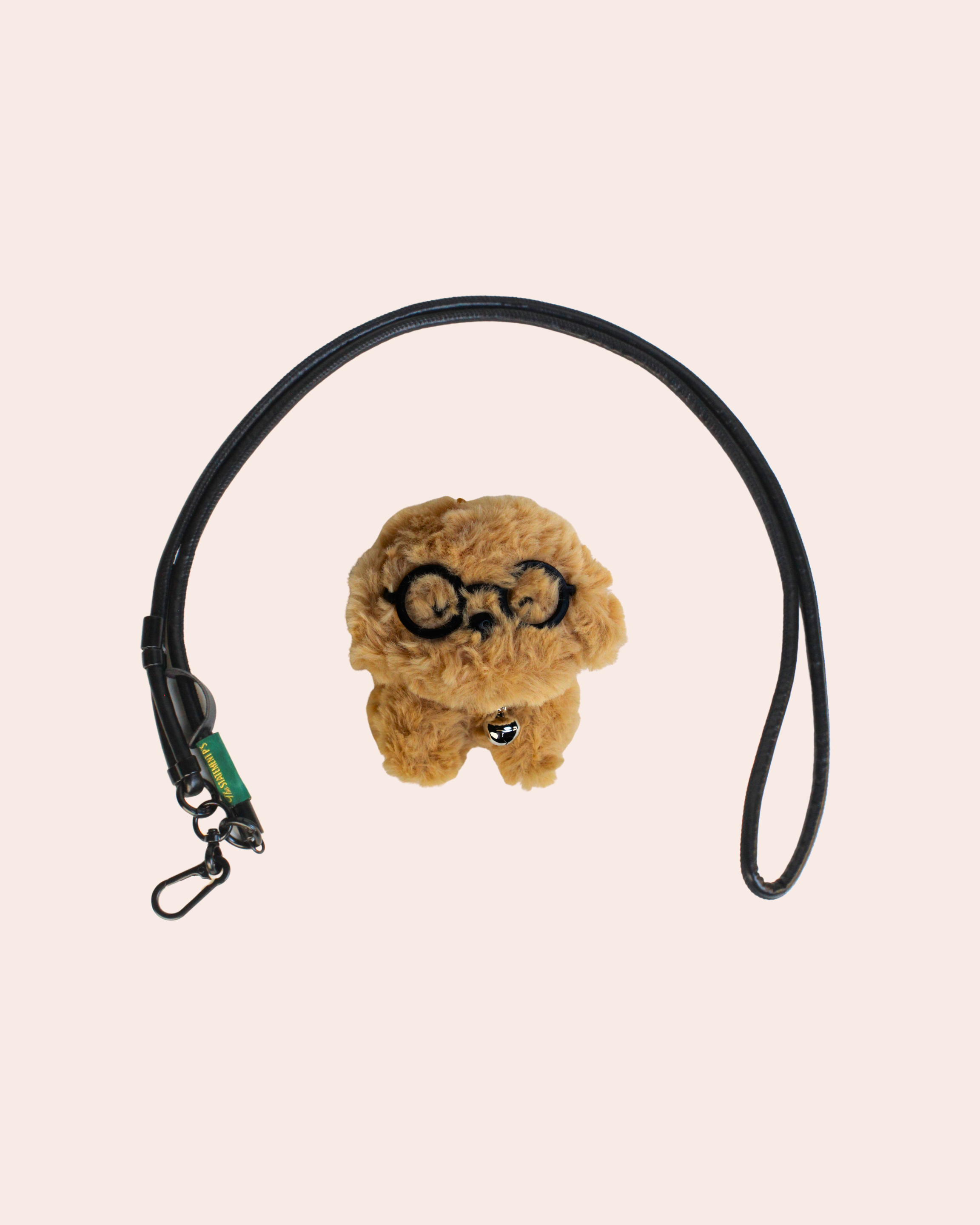 POODLE