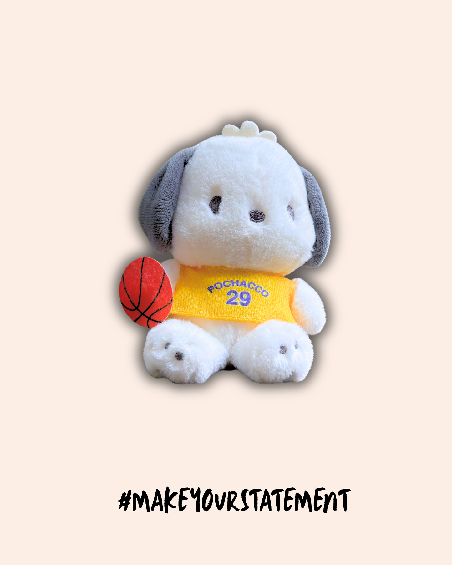 POCHACCO LAKERS