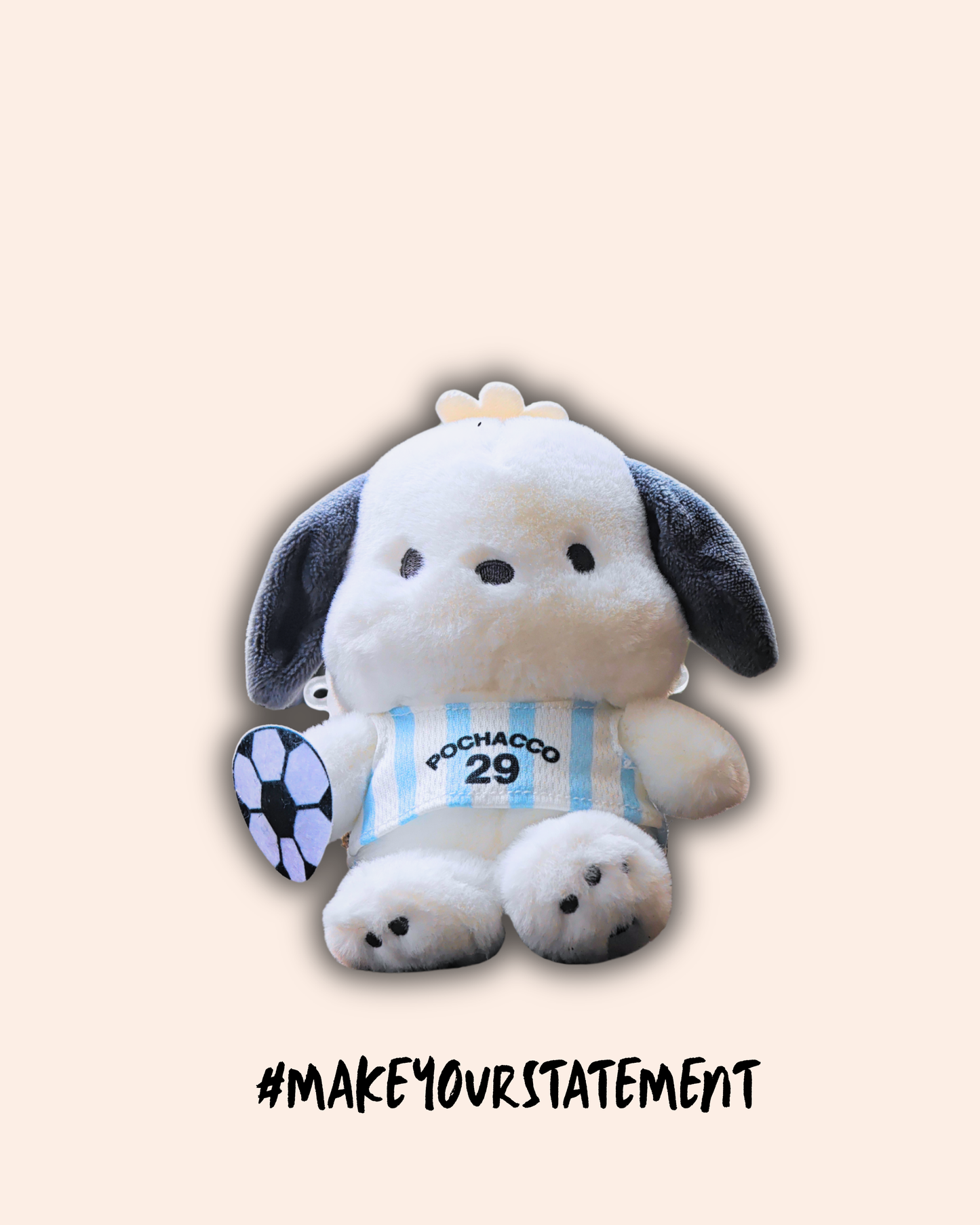POCHACCO ARGENTINA