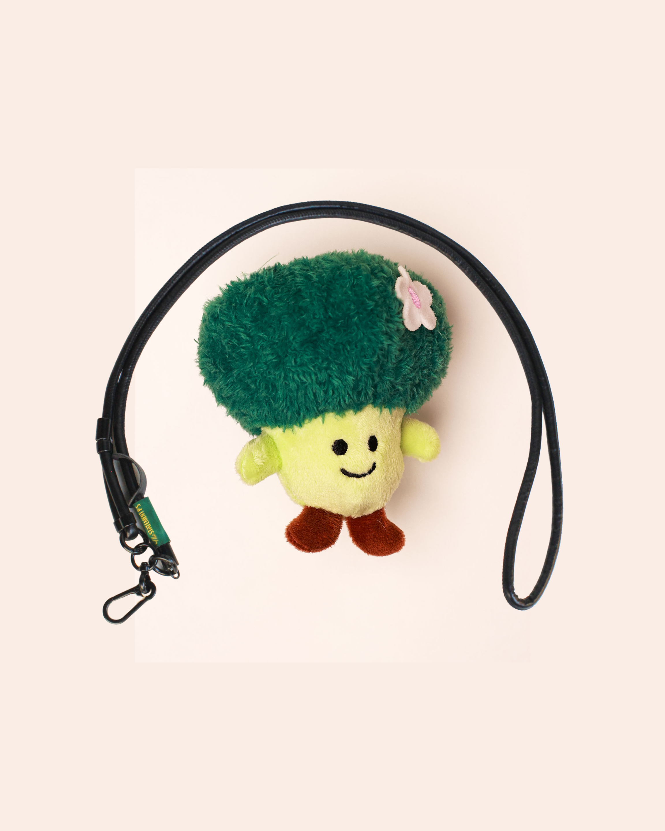 I HATE BROCCOLI