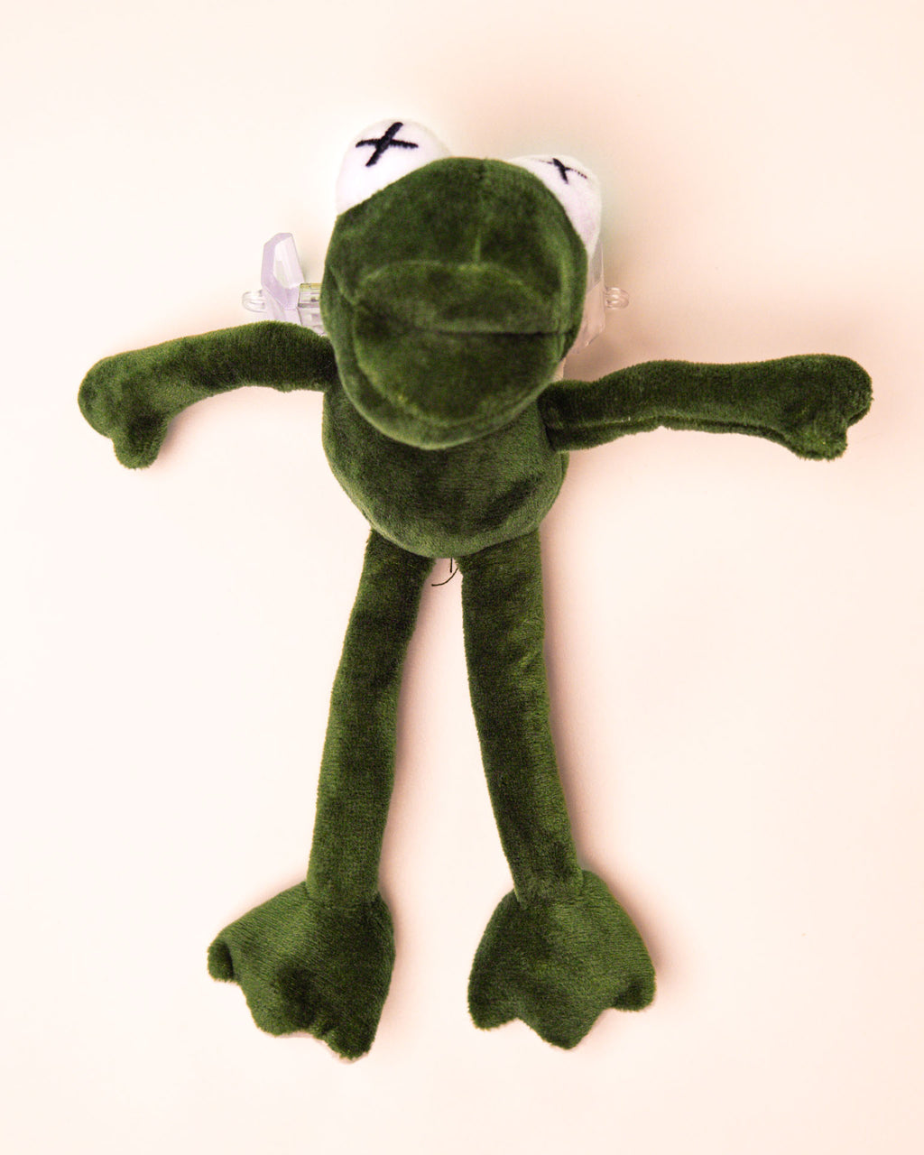 Mr. Froggy