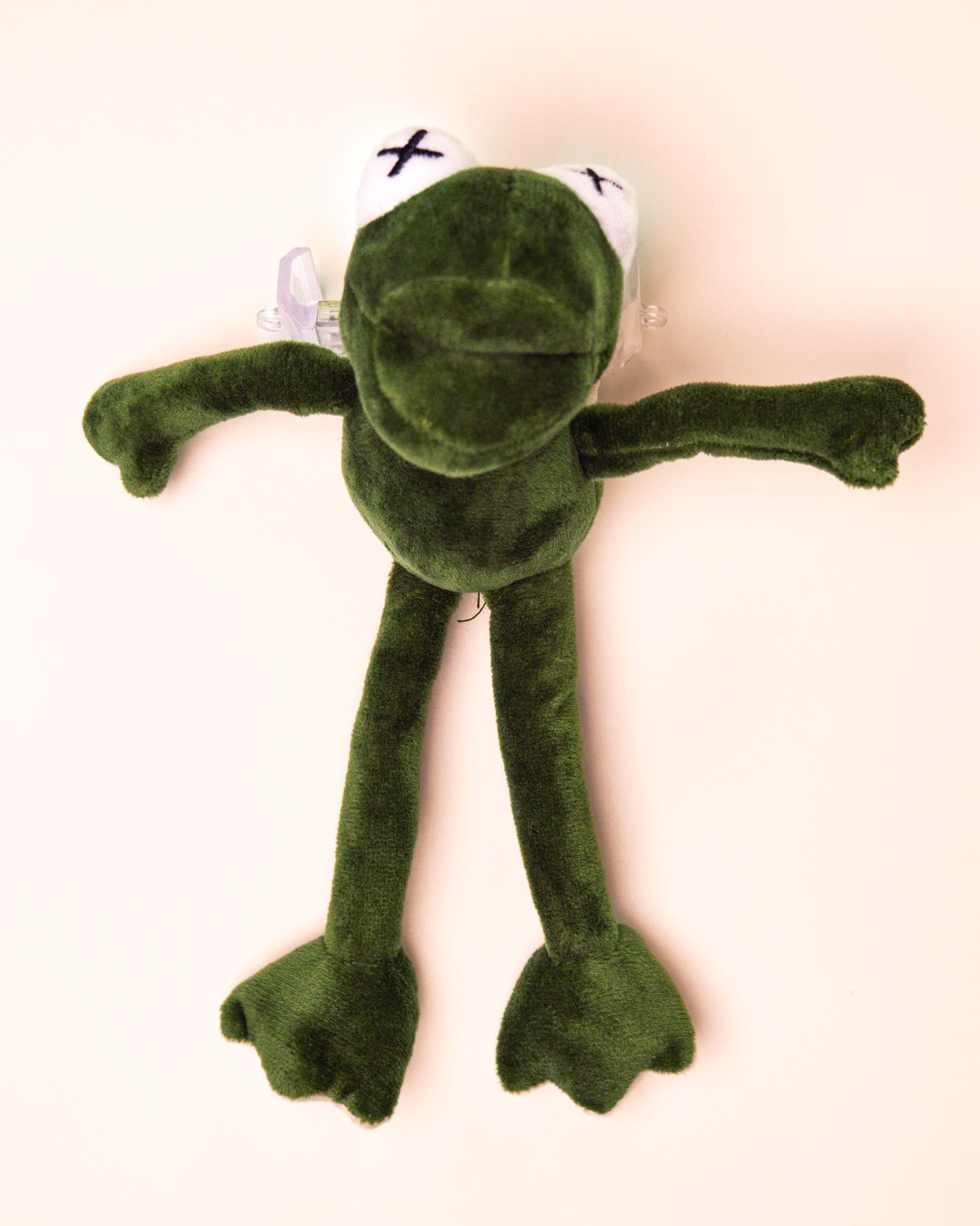 Mr. Froggy