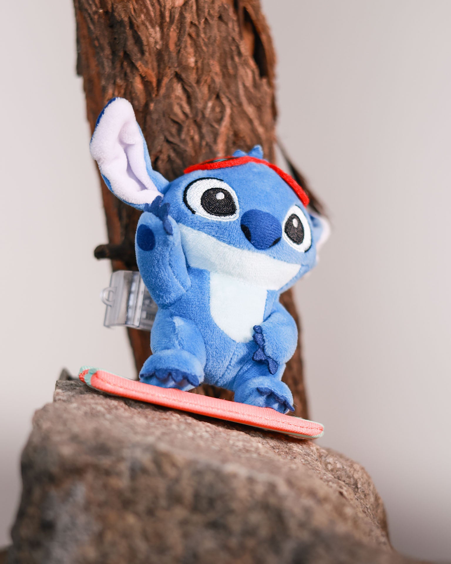 Stitch & Surf