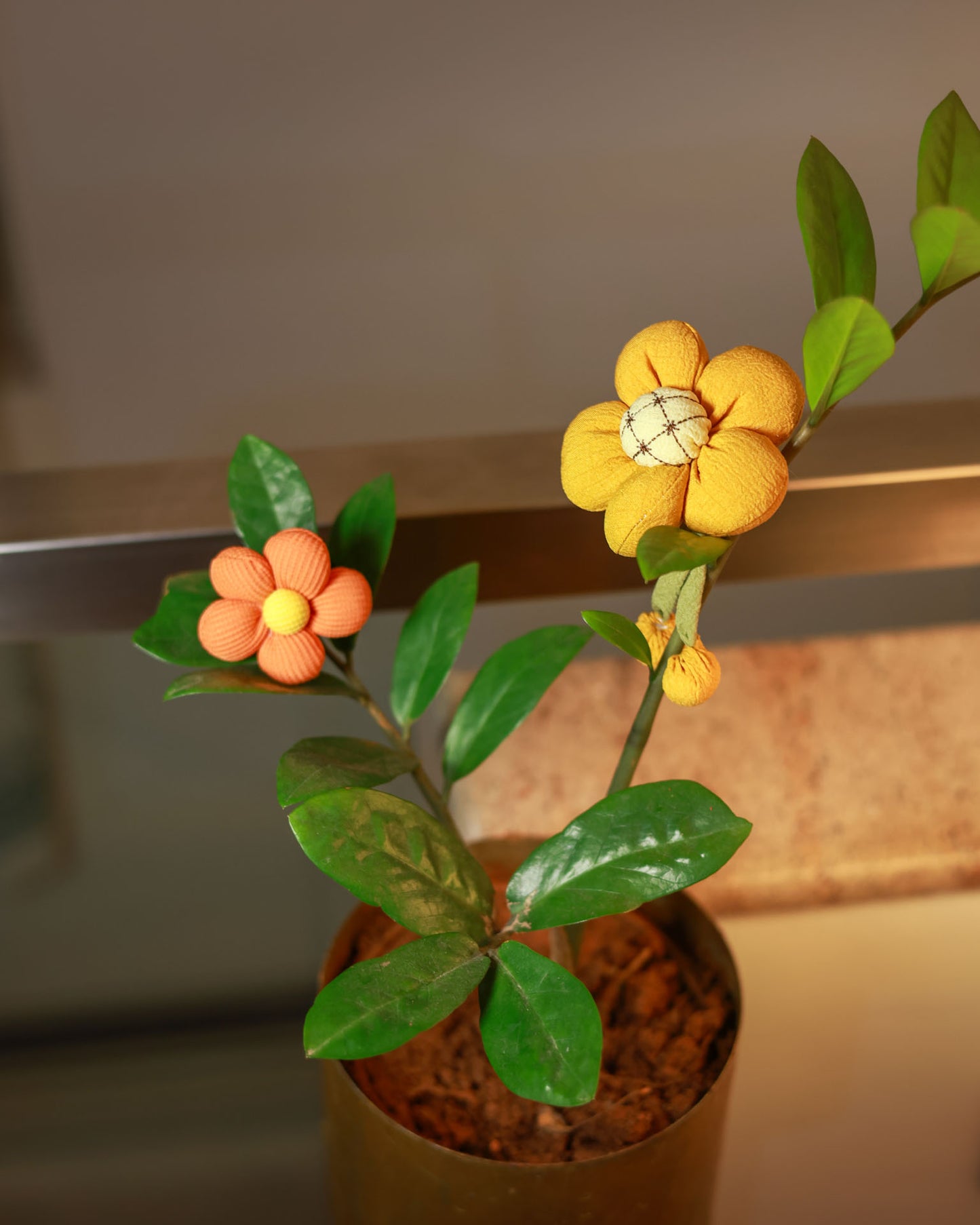 Petals - Curated Set of 2
