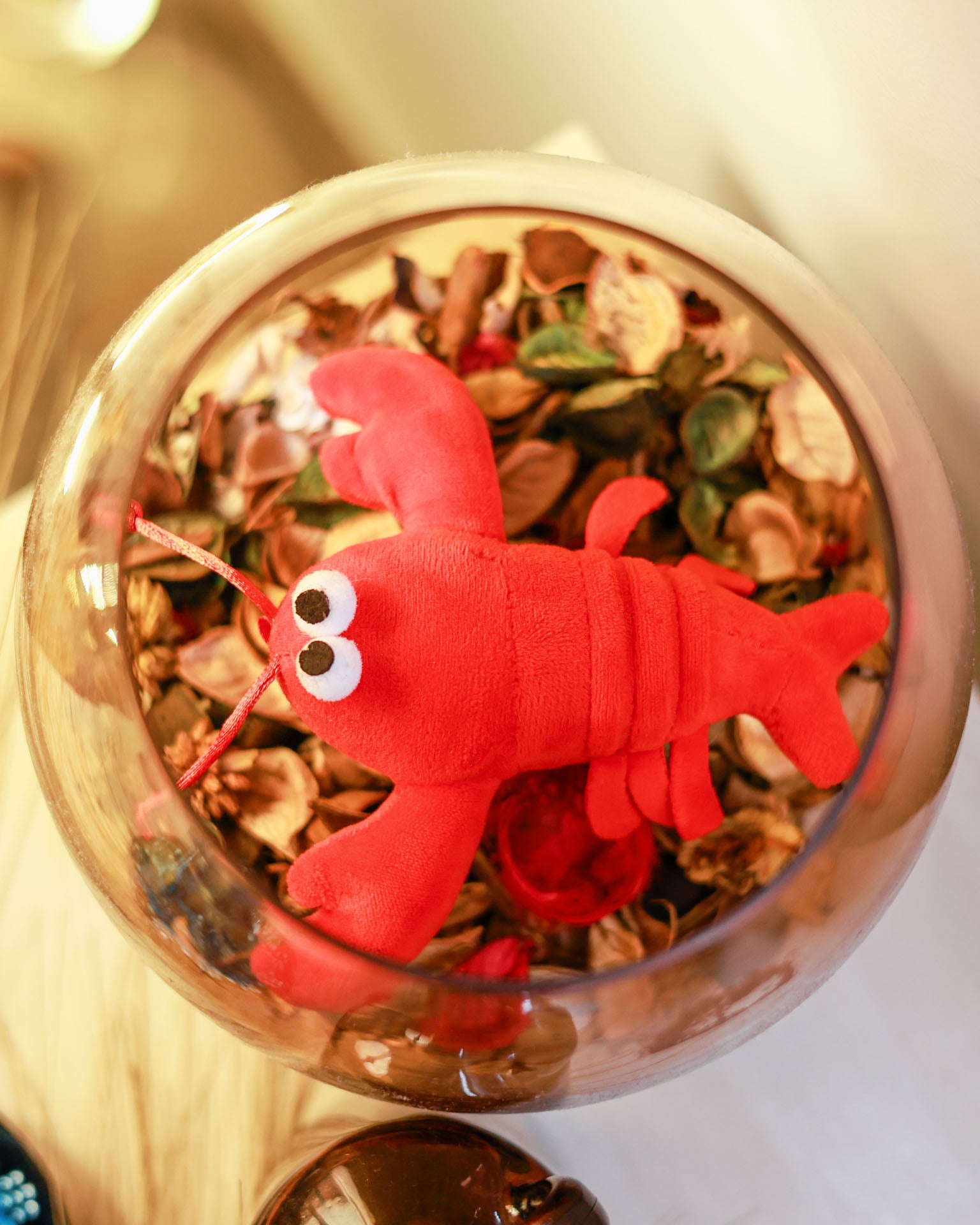 You are my Lobster